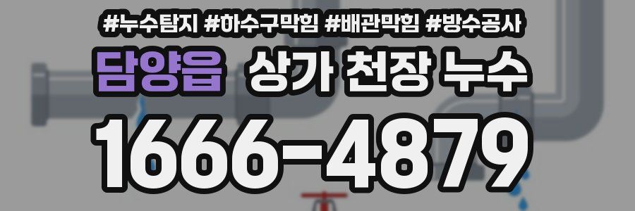 담양읍 상가 천장 누수