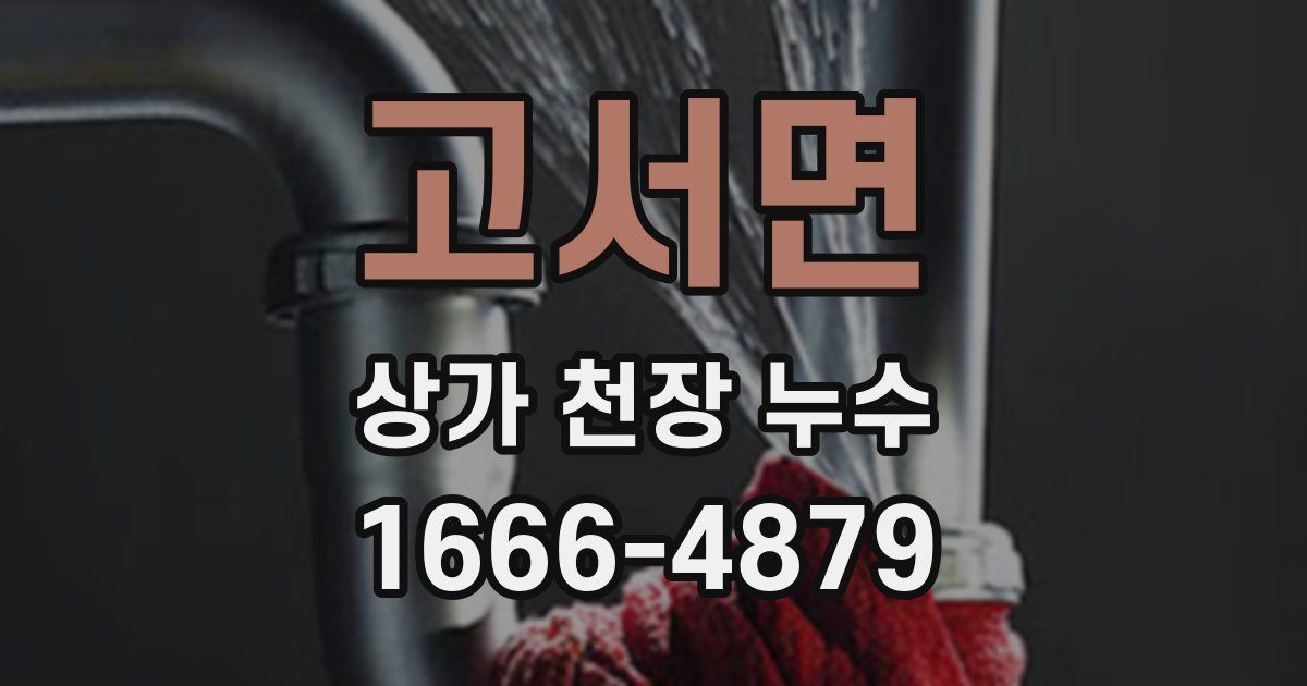 고서면 상가 천장 누수