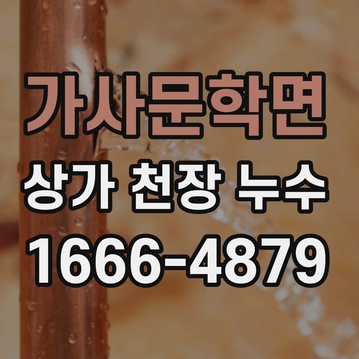 가사문학면 상가 천장 누수