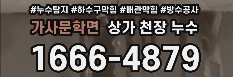 가사문학면 상가 천장 누수