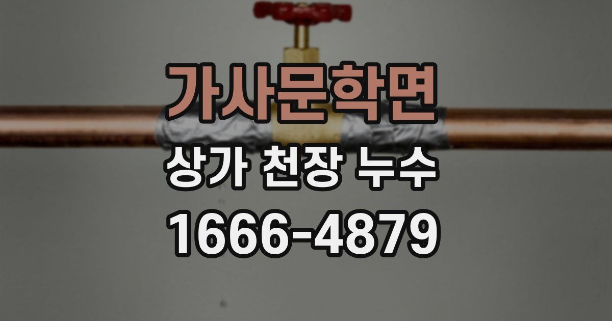 가사문학면 상가 천장 누수