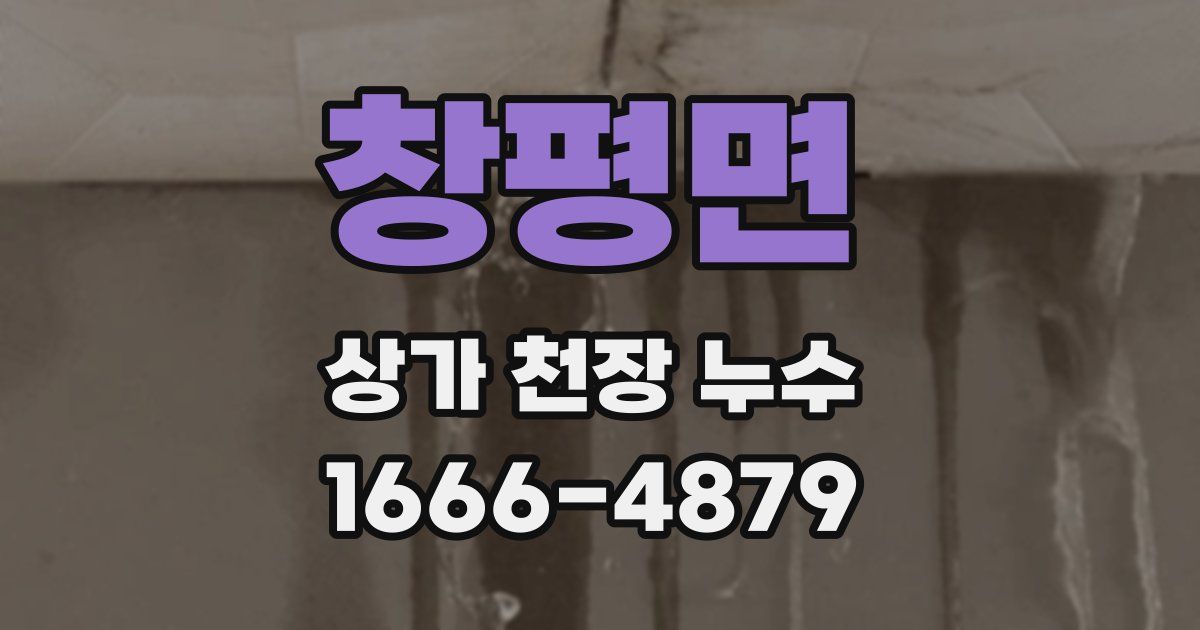 창평면 상가 천장 누수