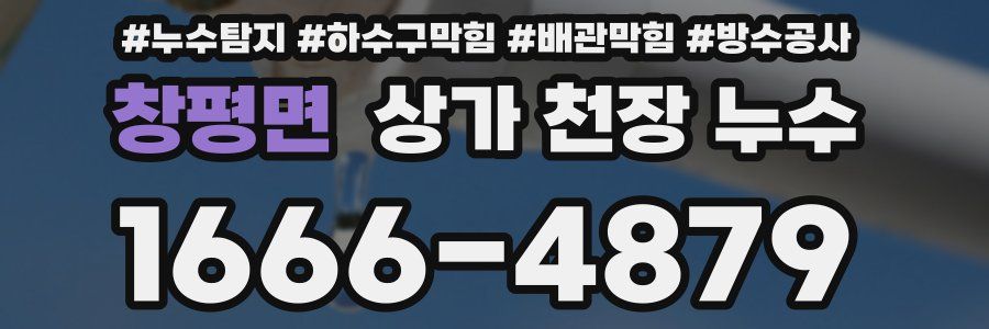 창평면 상가 천장 누수