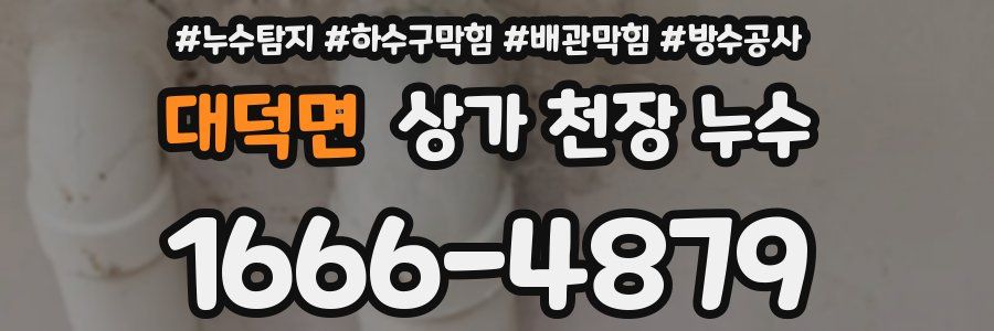 대덕면 상가 천장 누수