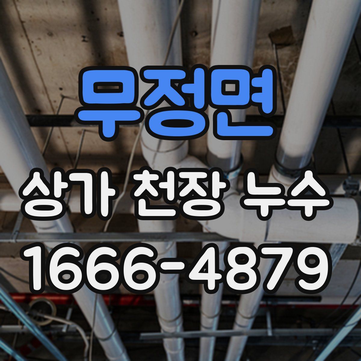 무정면 상가 천장 누수