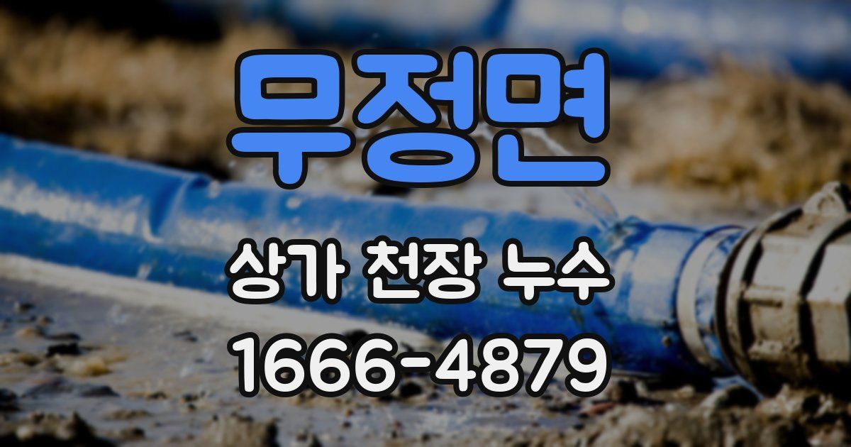 무정면 상가 천장 누수