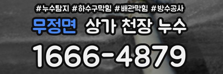 무정면 상가 천장 누수