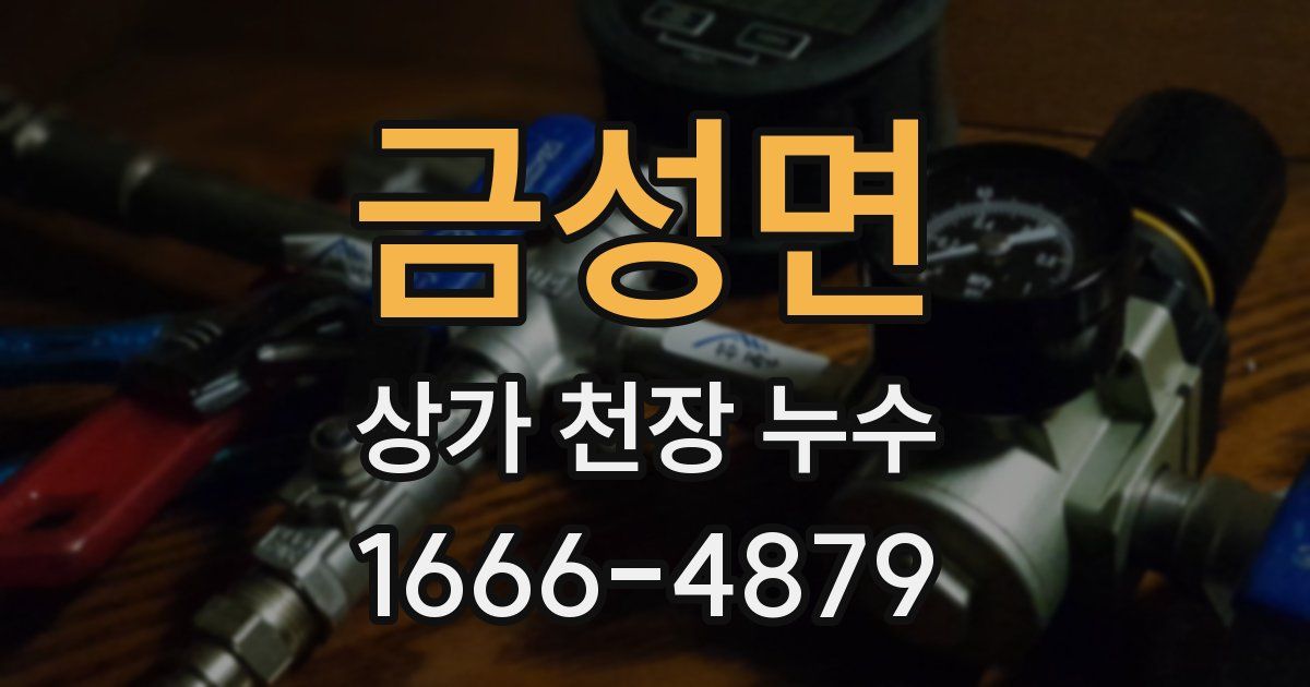 금성면 상가 천장 누수