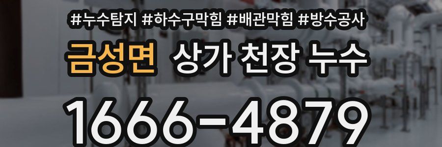 금성면 상가 천장 누수