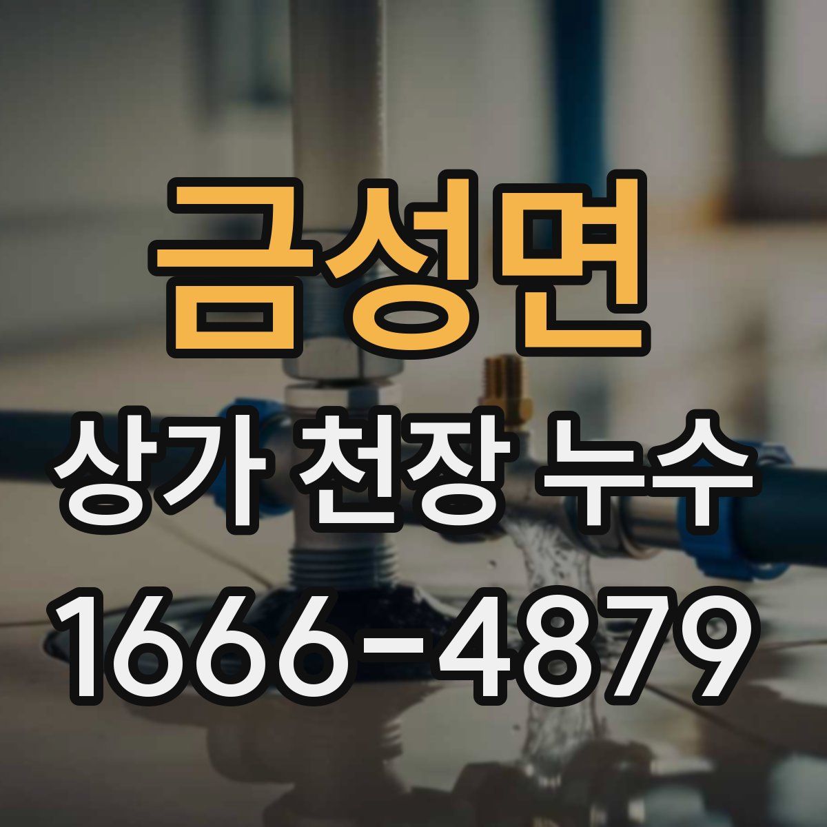 금성면 상가 천장 누수