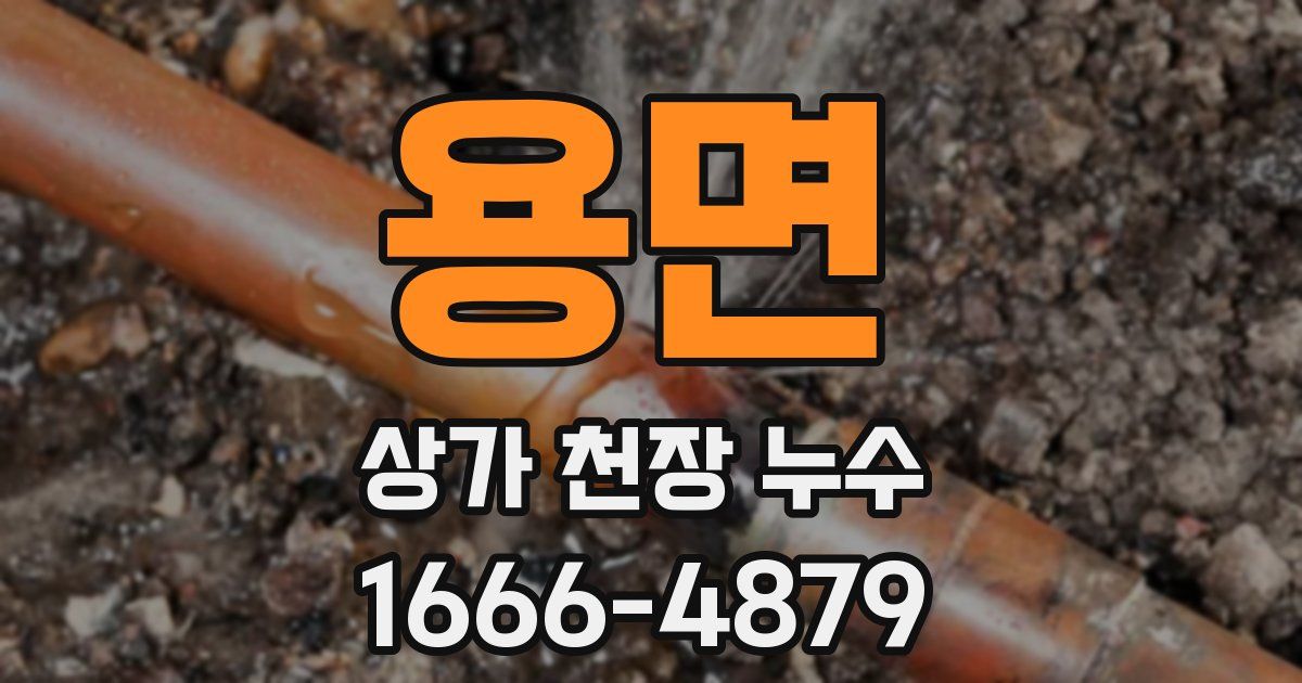 용면 상가 천장 누수