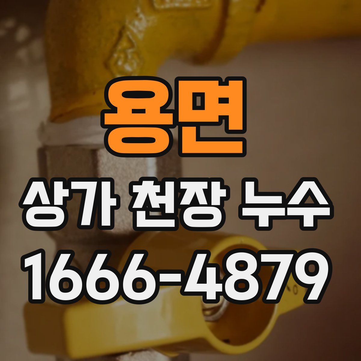 용면 상가 천장 누수