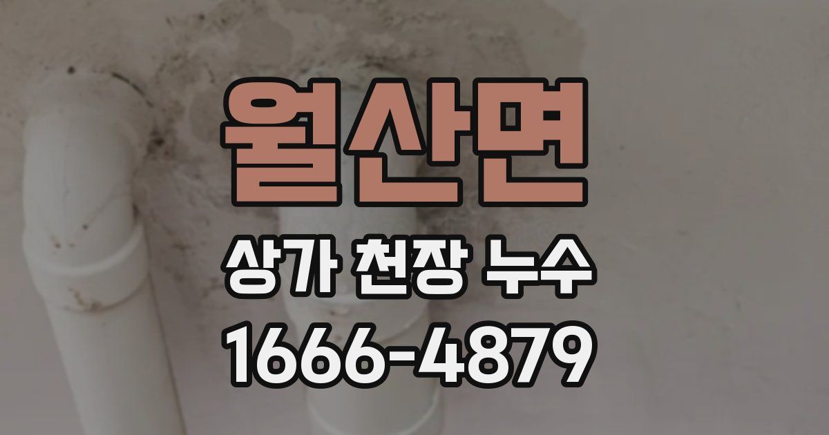 월산면 상가 천장 누수
