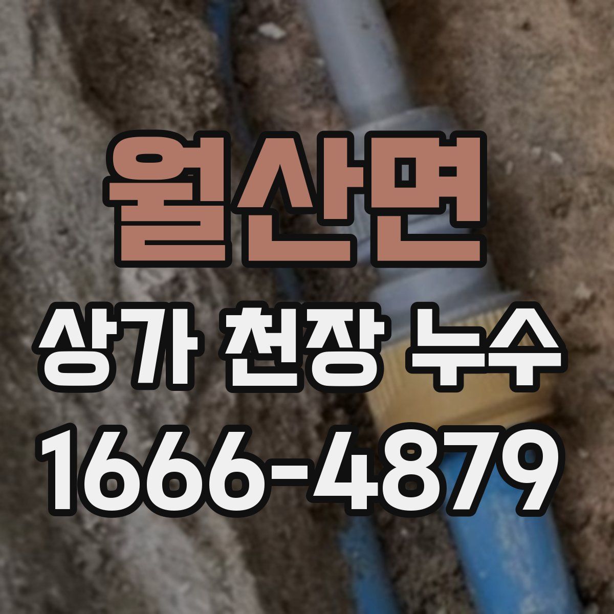 월산면 상가 천장 누수