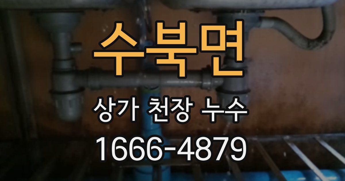 수북면 상가 천장 누수