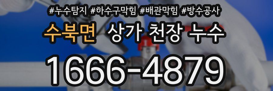 수북면 상가 천장 누수