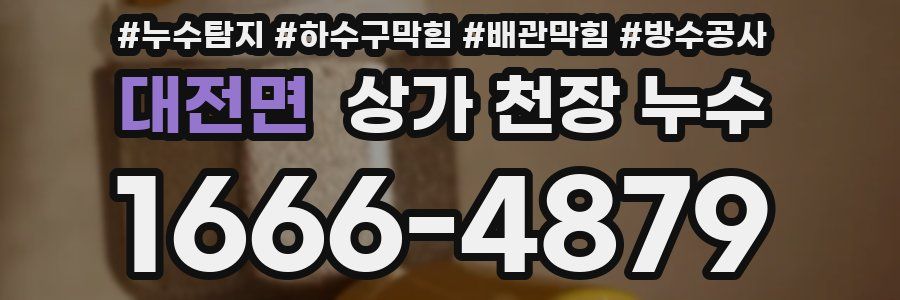 대전면 상가 천장 누수