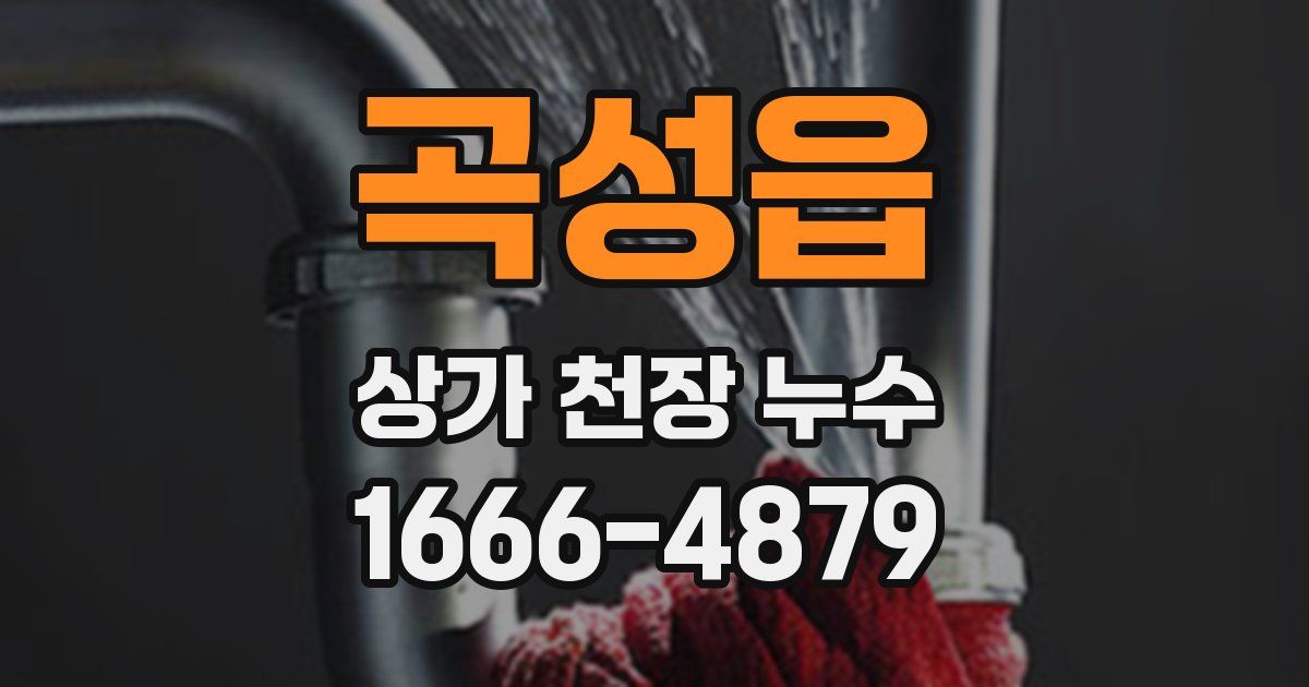 곡성읍 상가 천장 누수