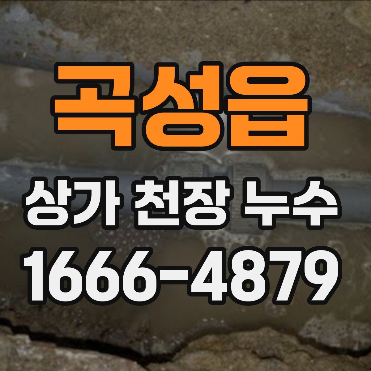 곡성읍 상가 천장 누수