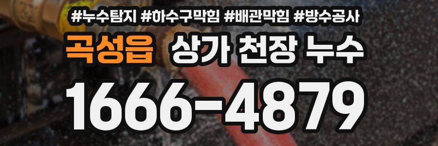곡성읍 상가 천장 누수