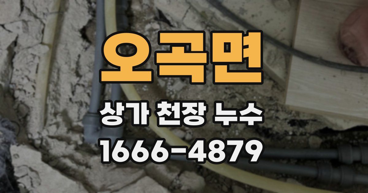 오곡면 상가 천장 누수