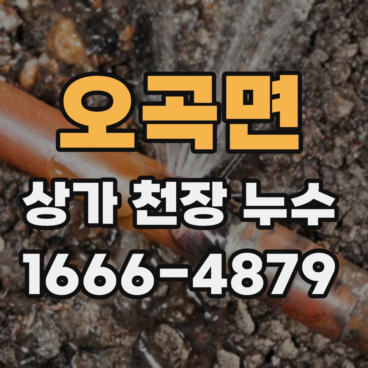 오곡면 상가 천장 누수
