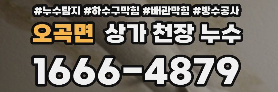 오곡면 상가 천장 누수