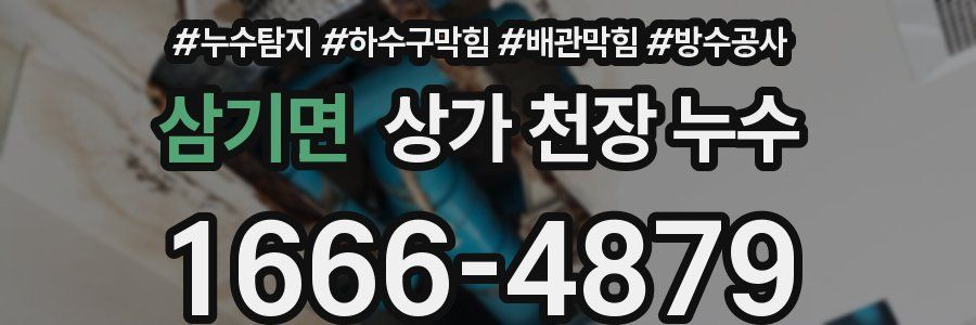 삼기면 상가 천장 누수