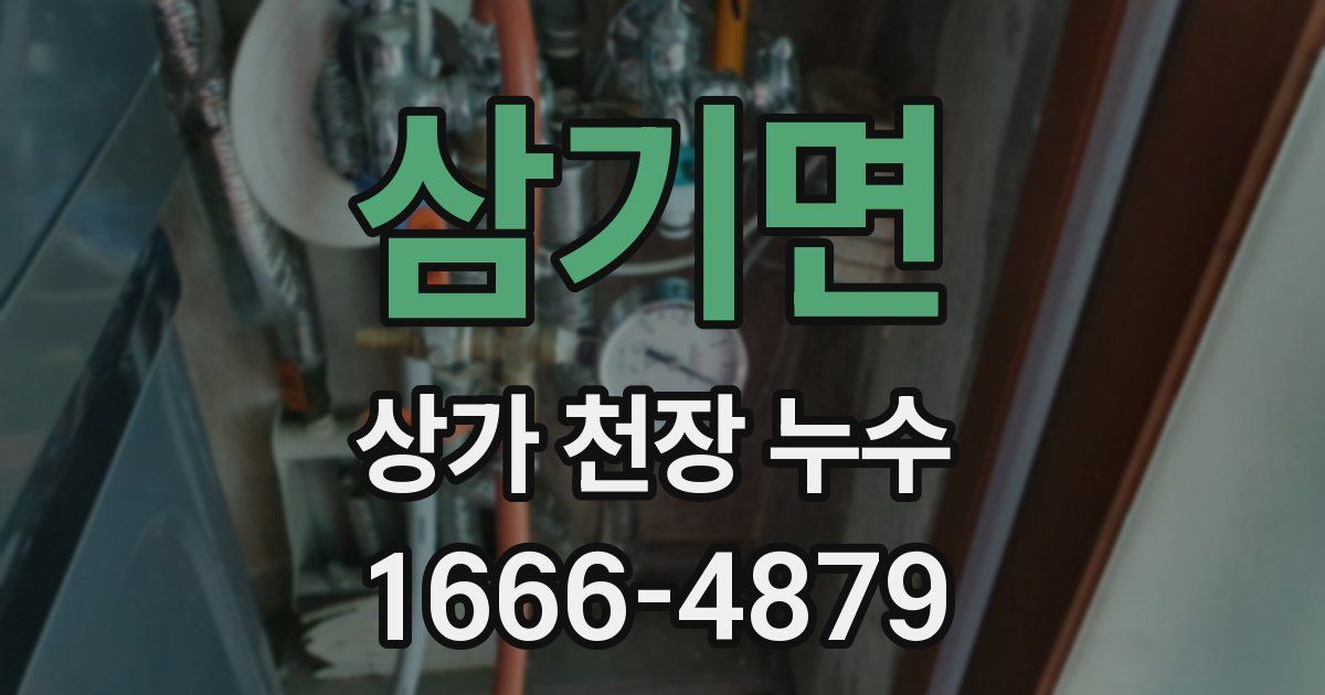 삼기면 상가 천장 누수