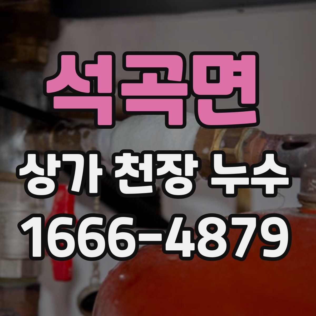 석곡면 상가 천장 누수