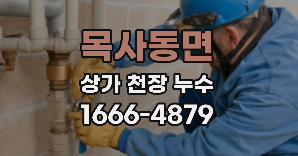 목사동면 상가 천장 누수