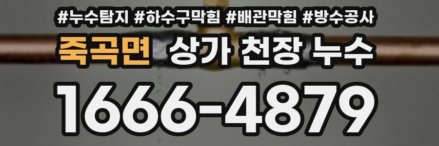 죽곡면 상가 천장 누수