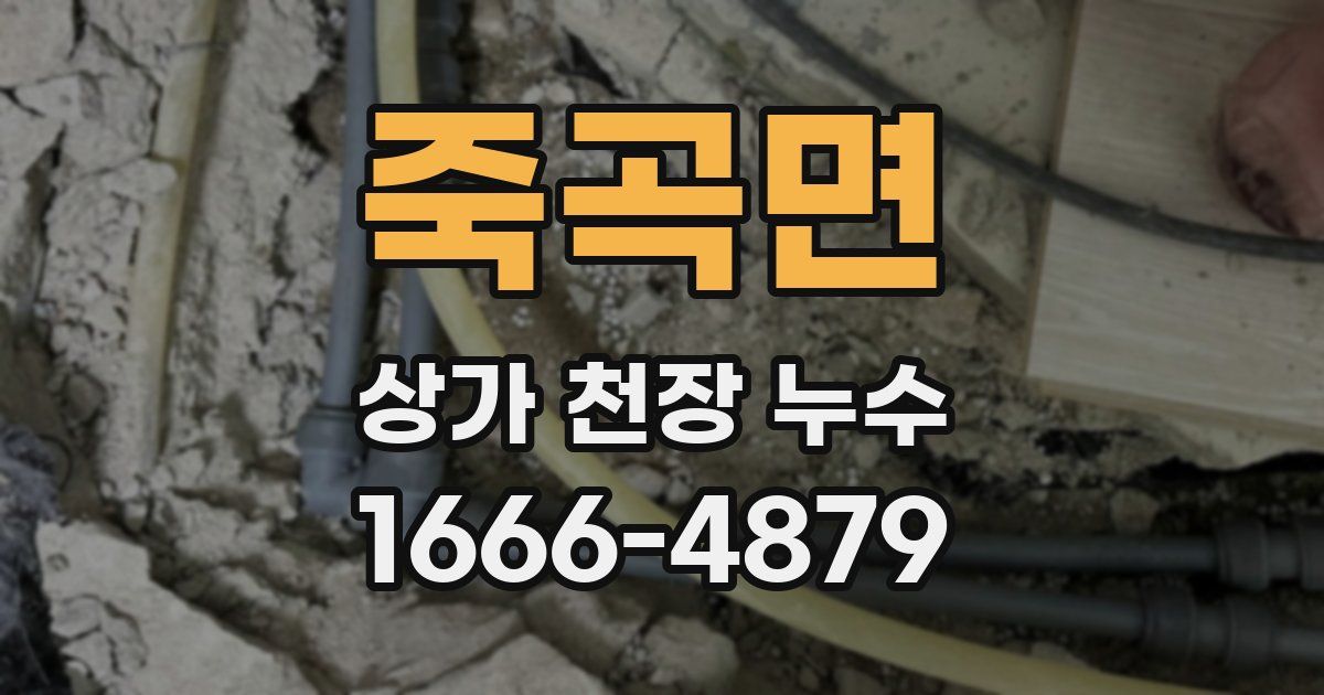 죽곡면 상가 천장 누수
