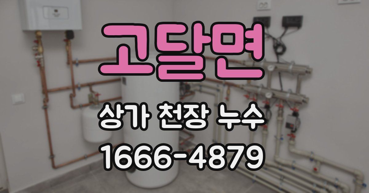 고달면 상가 천장 누수