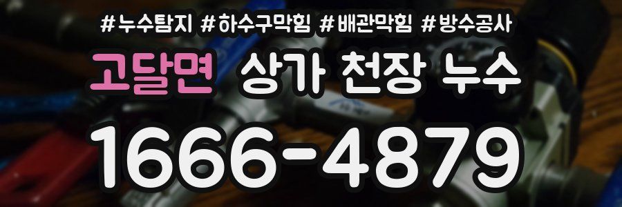 고달면 상가 천장 누수