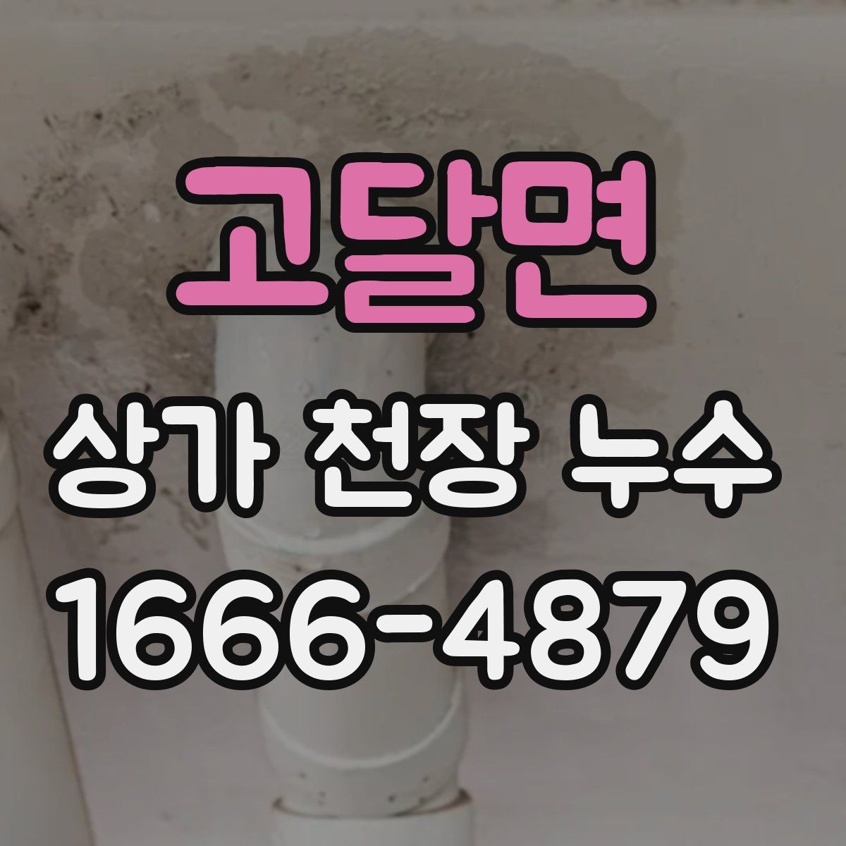 고달면 상가 천장 누수