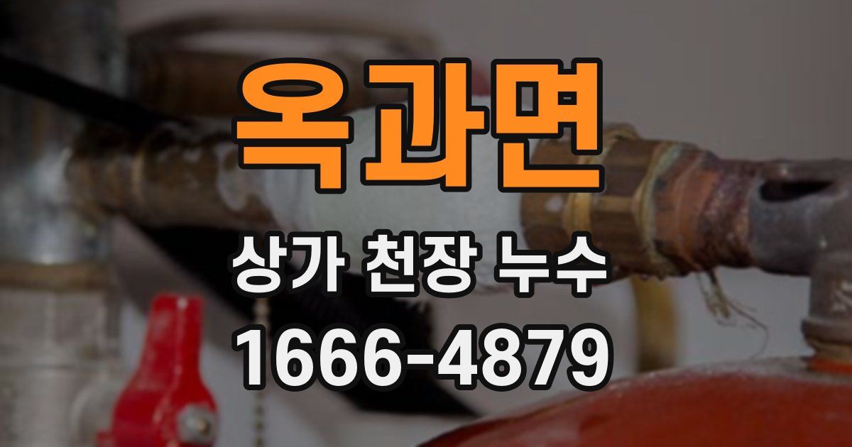 옥과면 상가 천장 누수