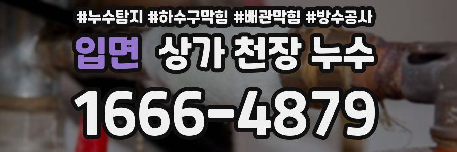 입면 상가 천장 누수