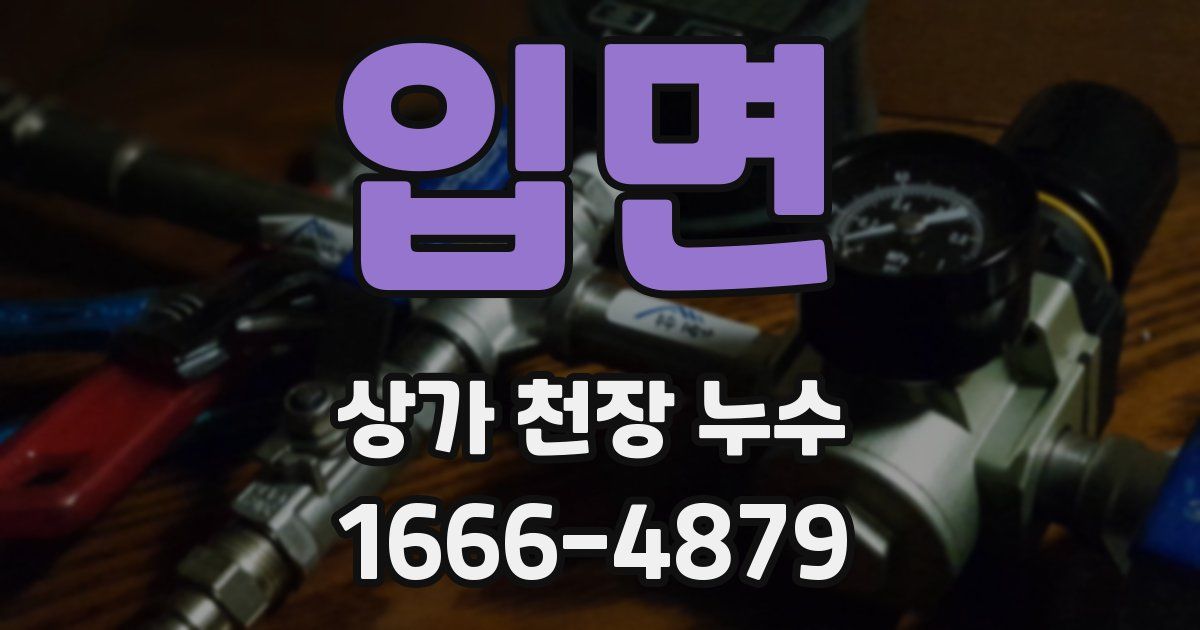 입면 상가 천장 누수