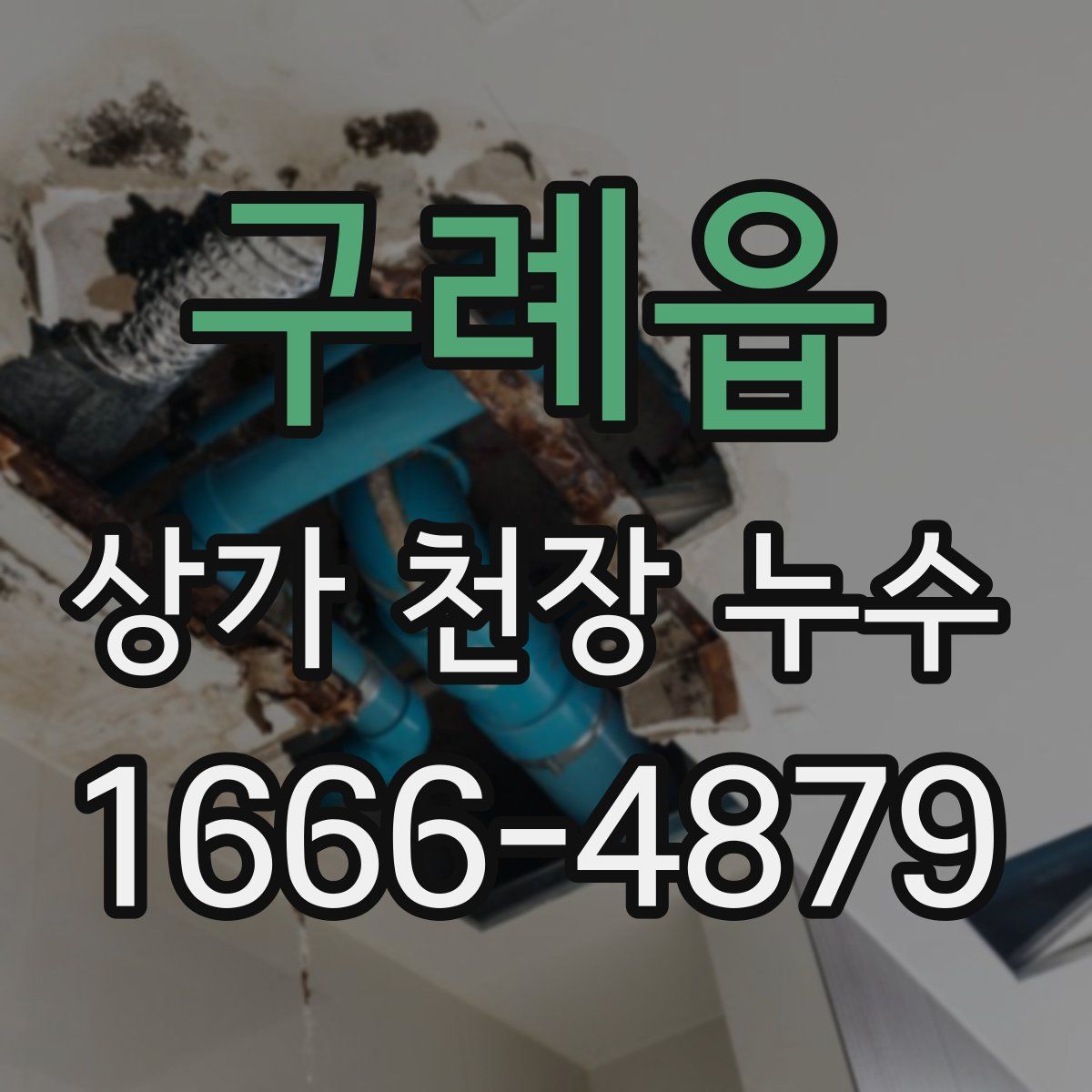 구례읍 상가 천장 누수