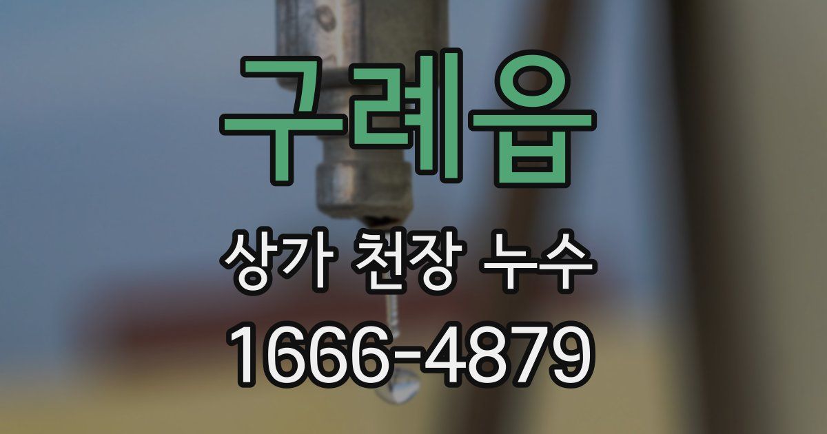 구례읍 상가 천장 누수