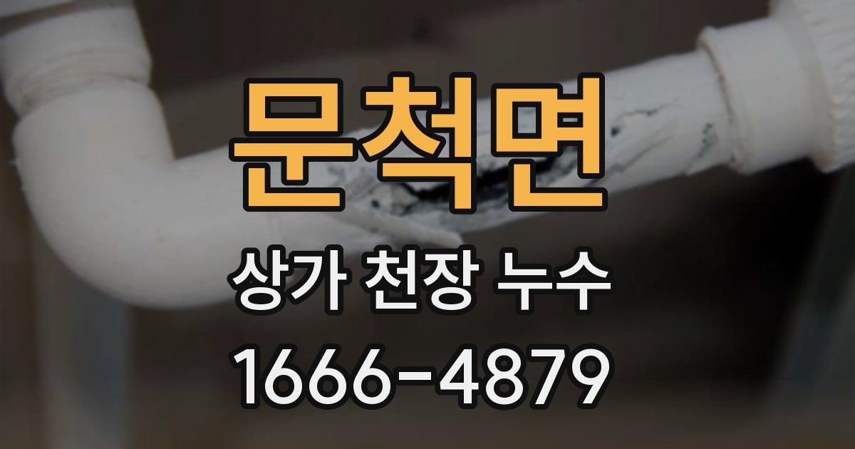 문척면 상가 천장 누수