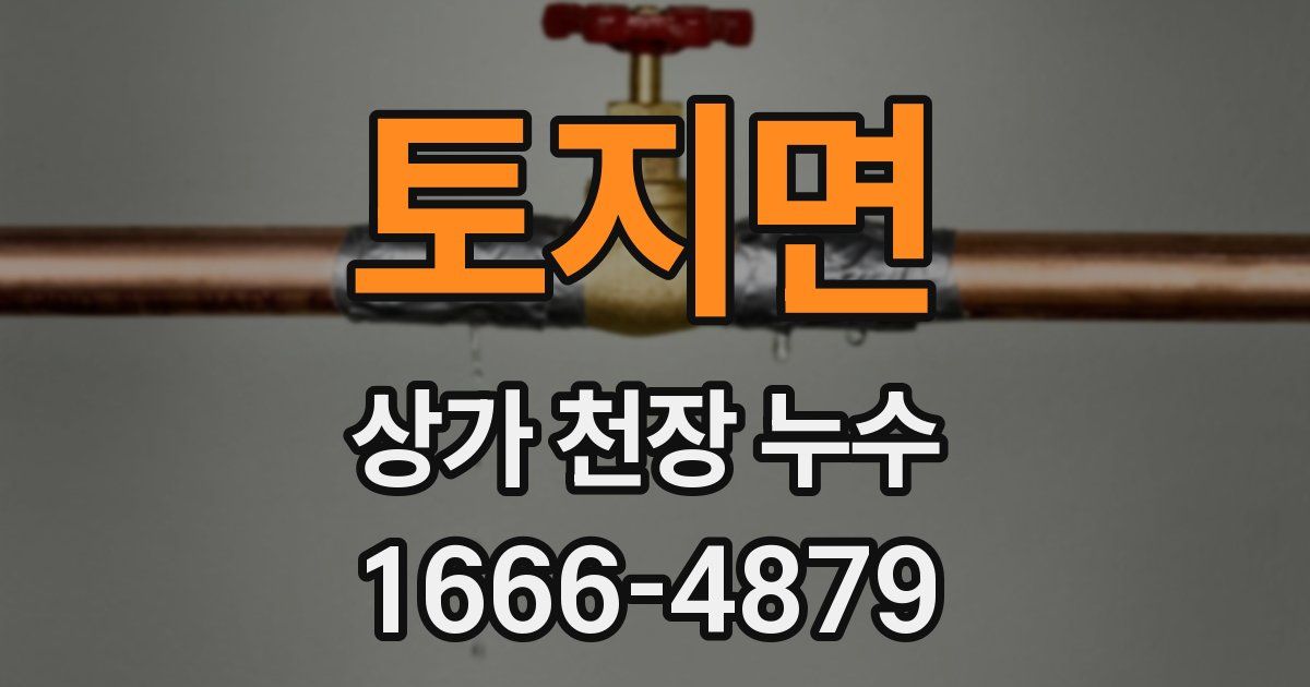 토지면 상가 천장 누수