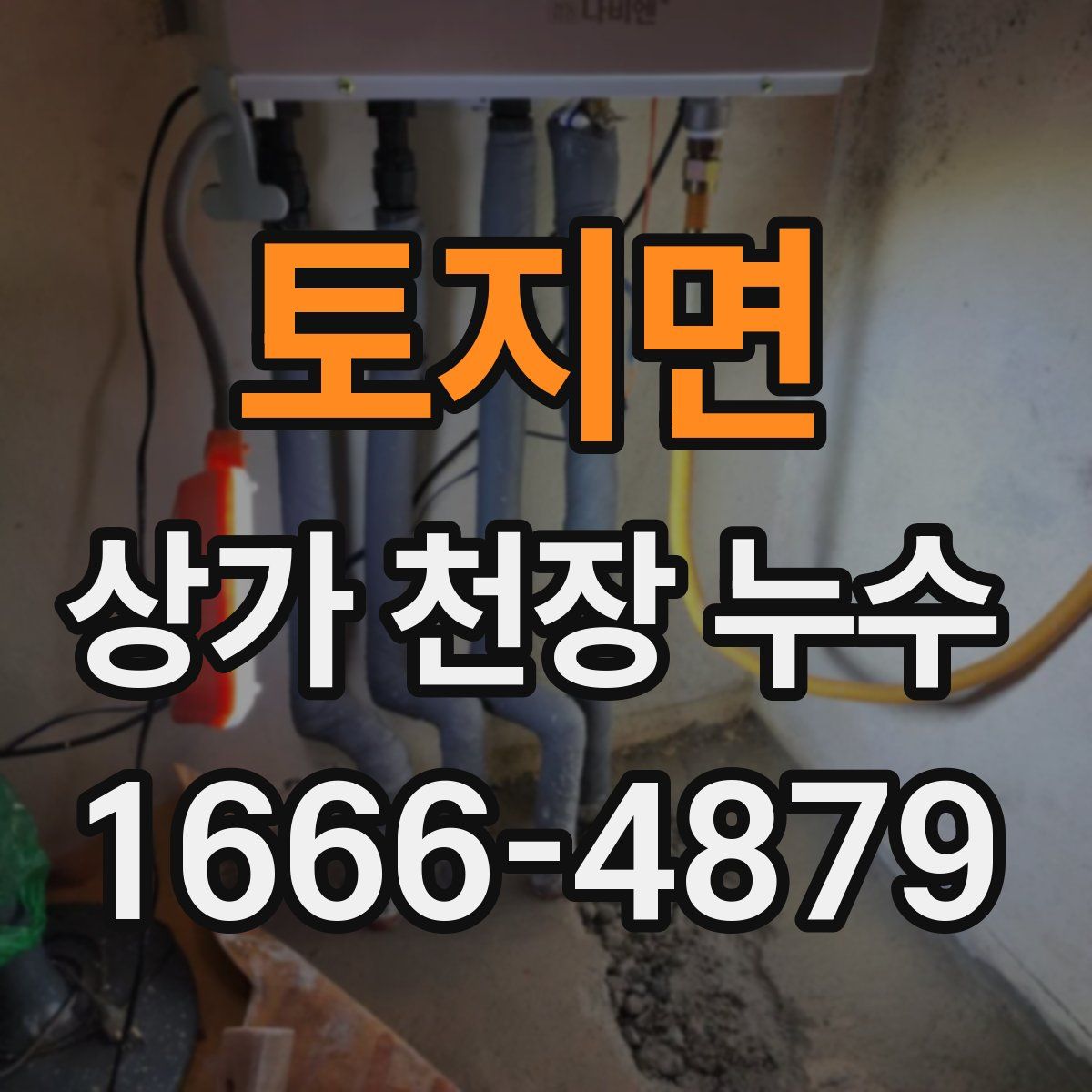 토지면 상가 천장 누수