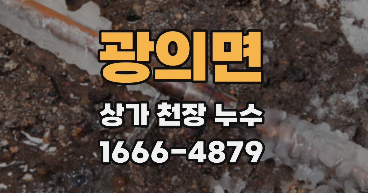 광의면 상가 천장 누수