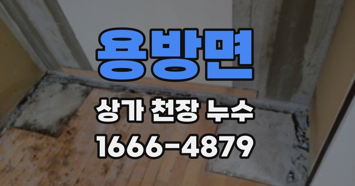 용방면 상가 천장 누수