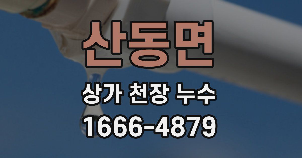 산동면 상가 천장 누수