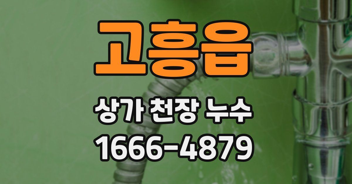 고흥읍 상가 천장 누수