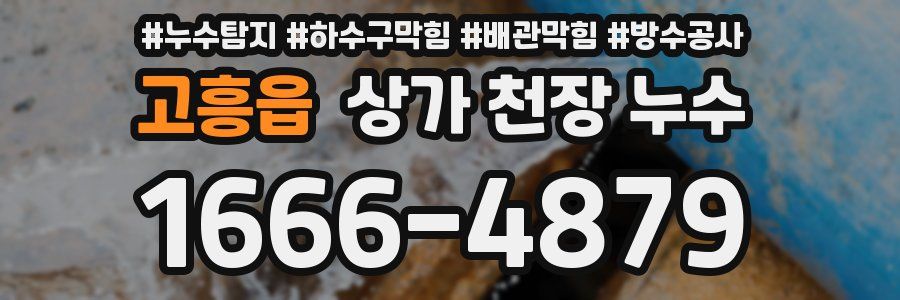 고흥읍 상가 천장 누수