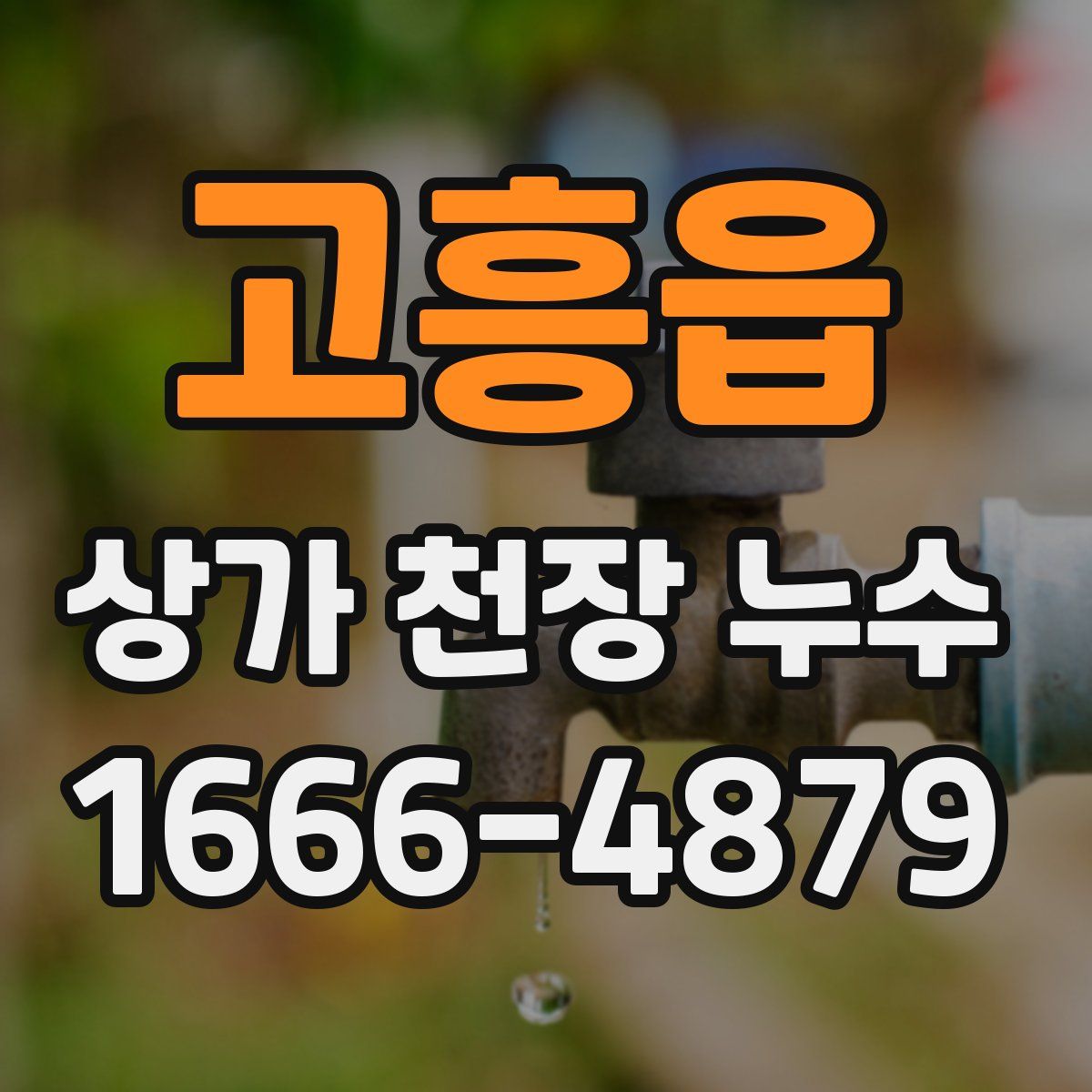 고흥읍 상가 천장 누수